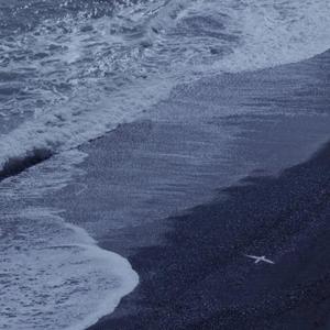 白月初❌涂山雅雅裸体
