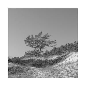 白月初❌涂山雅雅裸体
